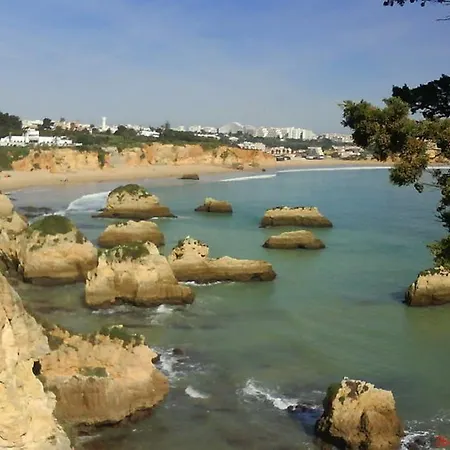 Coral Do Vau